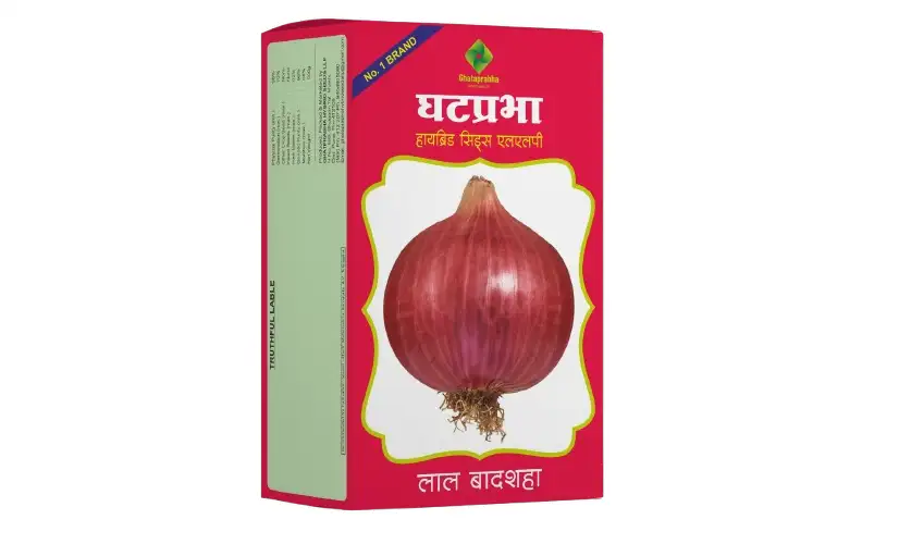 onion seeds