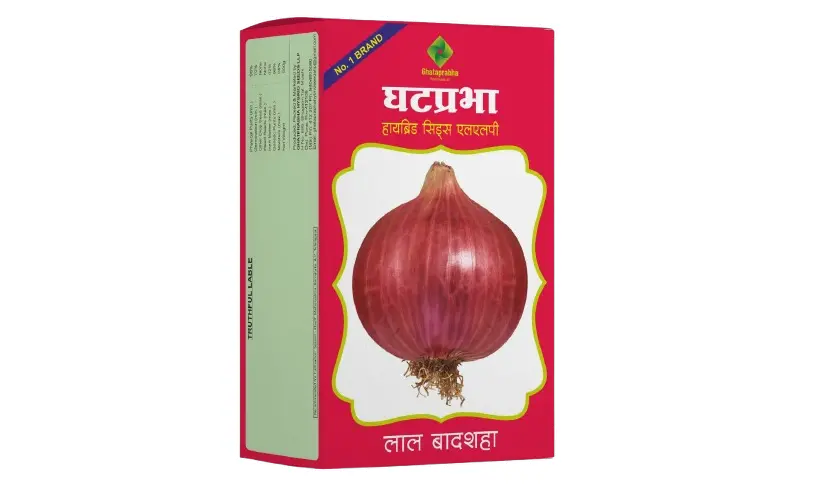 Hybrid Onion Seeds