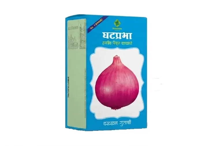 Hybrid Onion Seeds