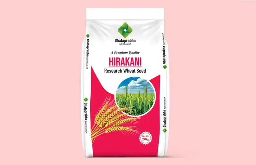 Hybrid seeds