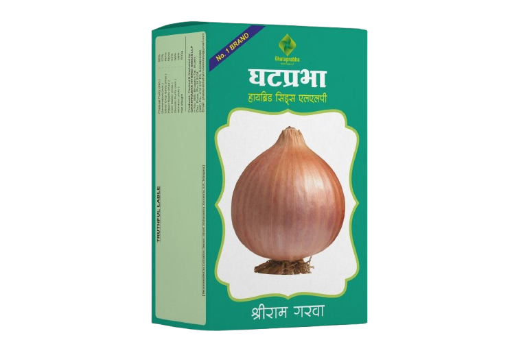Onion Seeds Shri Ram Garva
